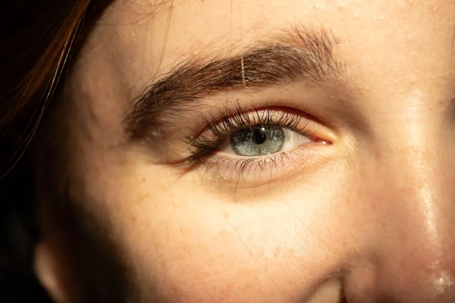 A brushed-up brow in warm window light